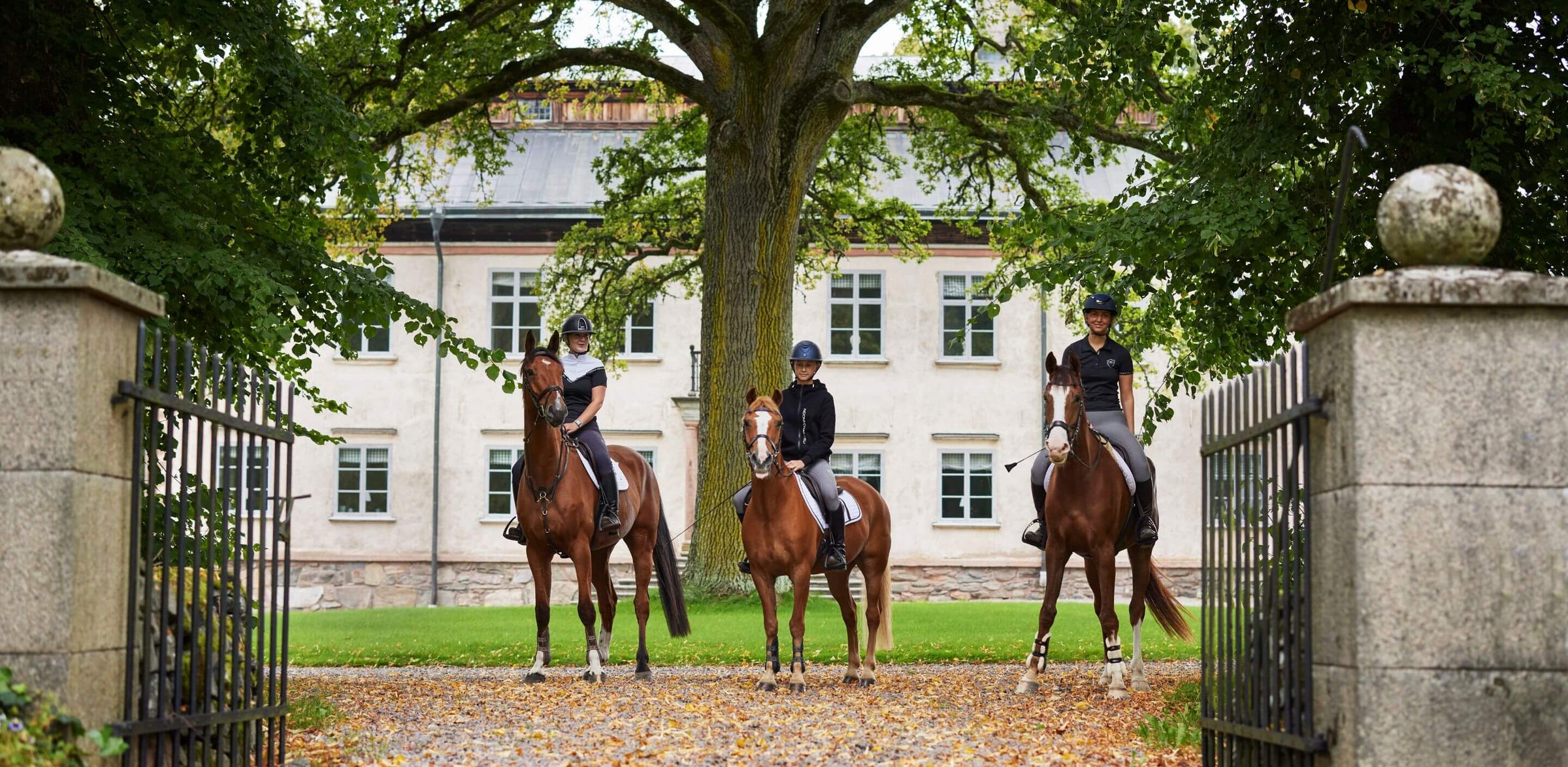 Umweltbild drei Reiter in Noomi Chantelle Reitkleidung jeder auf einem braunen Pferd in einer schönen Villa